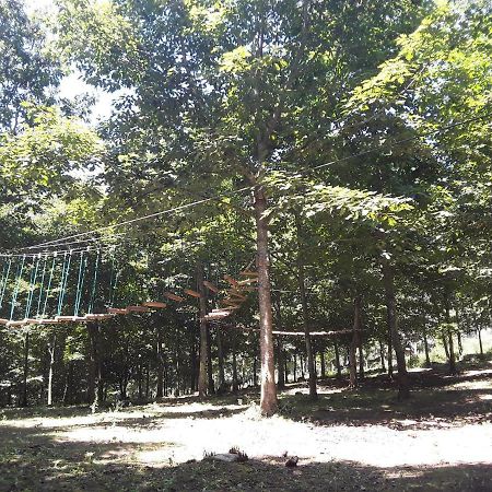 Albergue Mandoia Aterpetxea Arantzazu Εξωτερικό φωτογραφία