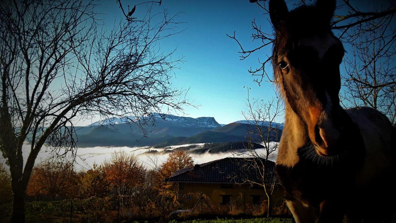 Albergue Mandoia Aterpetxea Arantzazu Εξωτερικό φωτογραφία