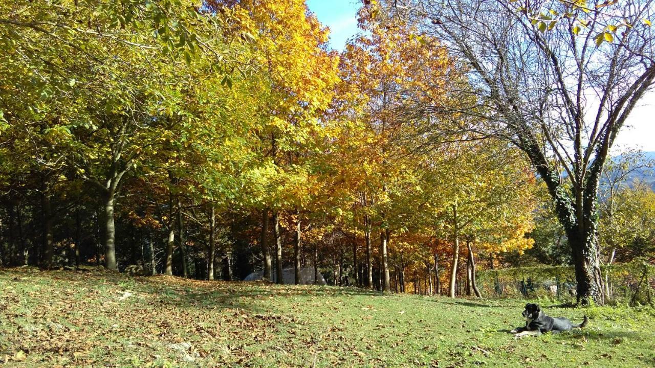 Albergue Mandoia Aterpetxea Arantzazu Εξωτερικό φωτογραφία